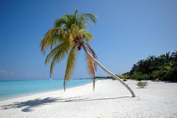 Venez tester votre esprit d'équipe chez the game à Paris !