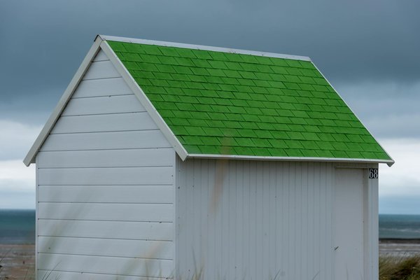 Quels sont les meilleurs spots pour la plongée avec les requins-taureaux aux Bahamas?